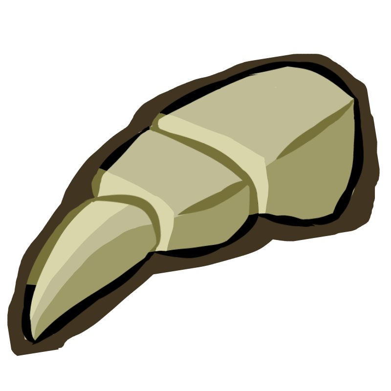 Claw Fossil